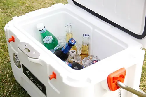 Are Expensive Coolers worth it?