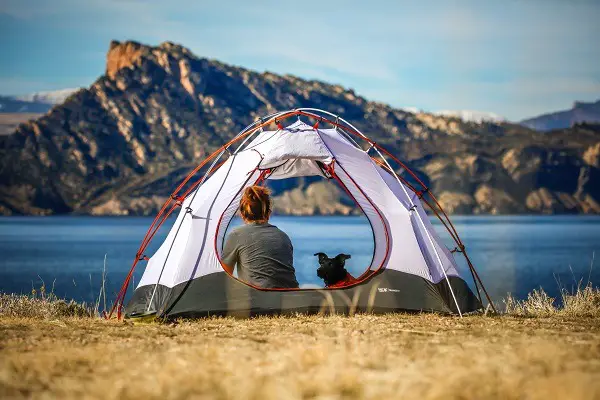 Best Tents for Camping with Dogs