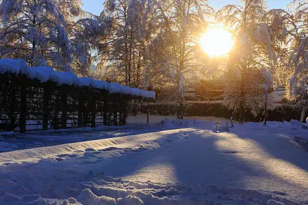 sun set in winter